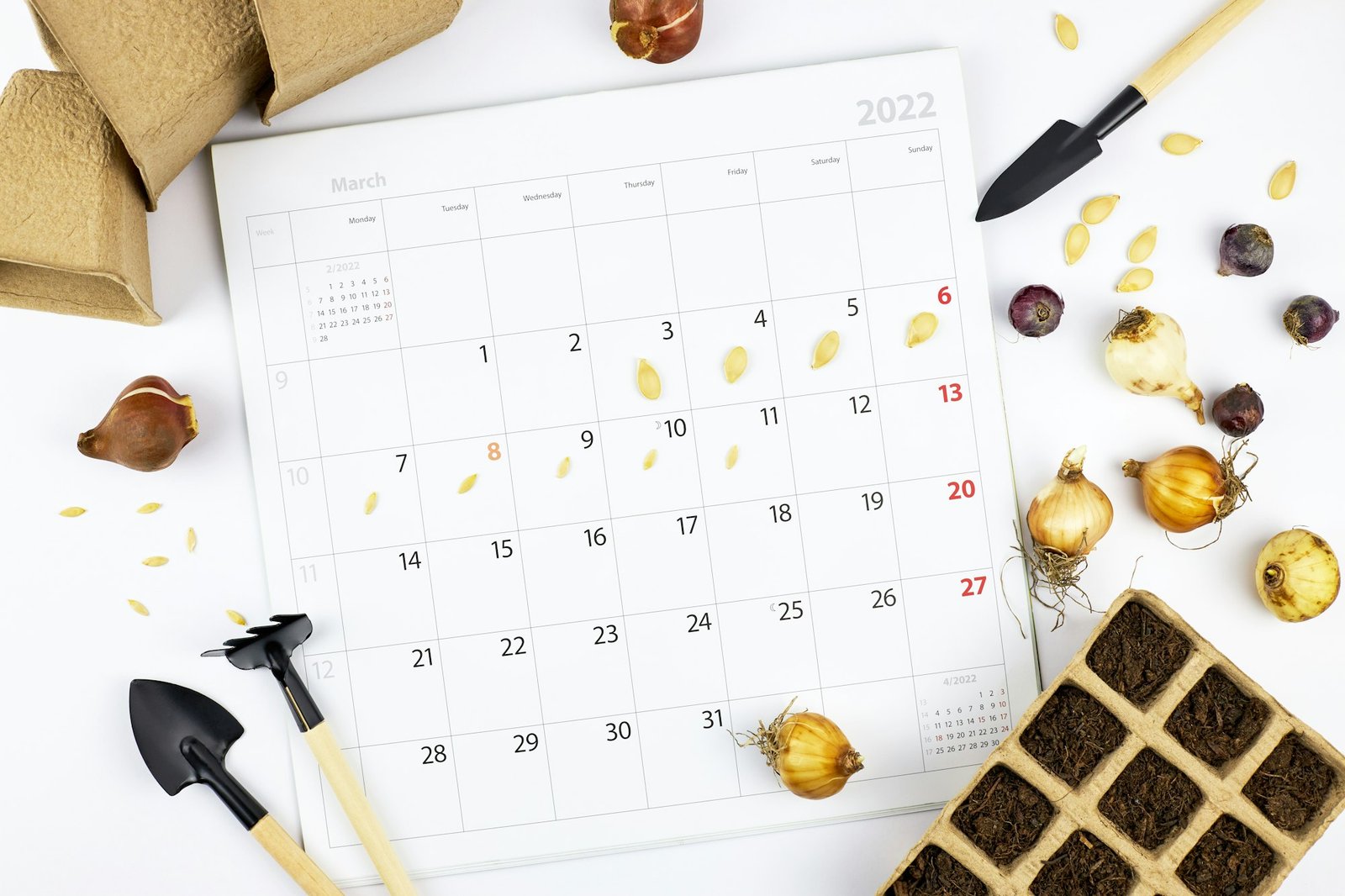 Gardener's calendar, seedling planting plan